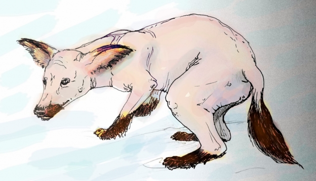 via http://magicalcreaturesproject.blogspot.com/
