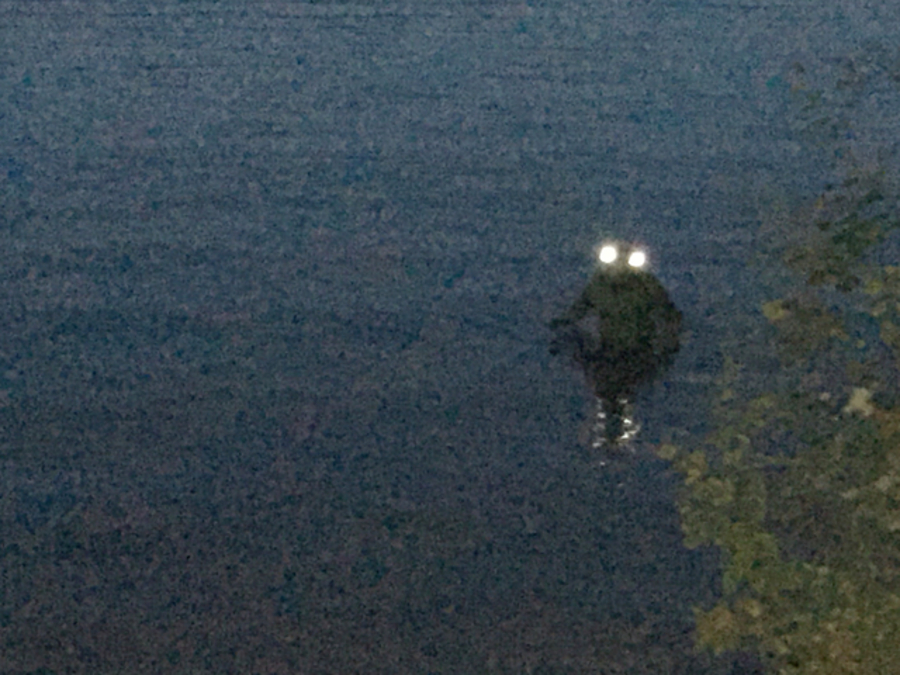 loveland-frogman