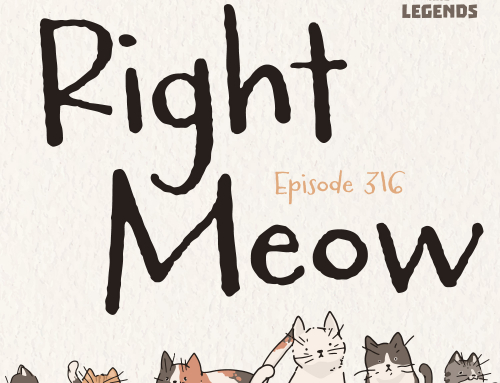 316-French Fairy Tales: Right Meow